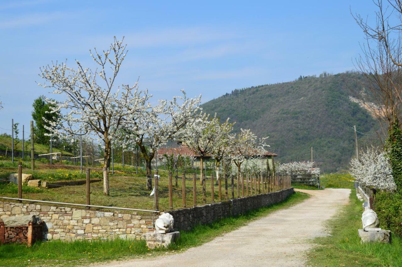 Cascina Valsorda Bed and Breakfast Concesio Εξωτερικό φωτογραφία