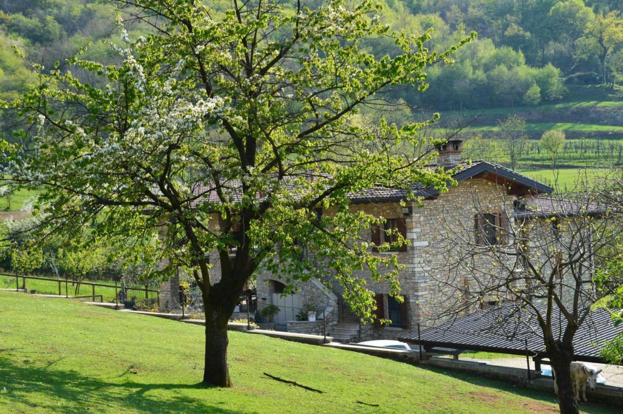 Cascina Valsorda Bed and Breakfast Concesio Εξωτερικό φωτογραφία